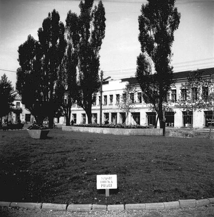 Park Marii Konopnickiej 1980 r.