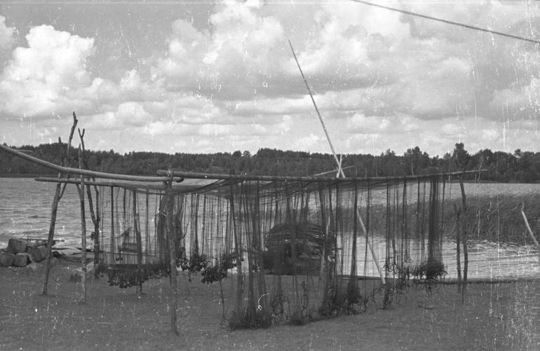 Jezioro Wigry, 1950 r. Pow ryb.