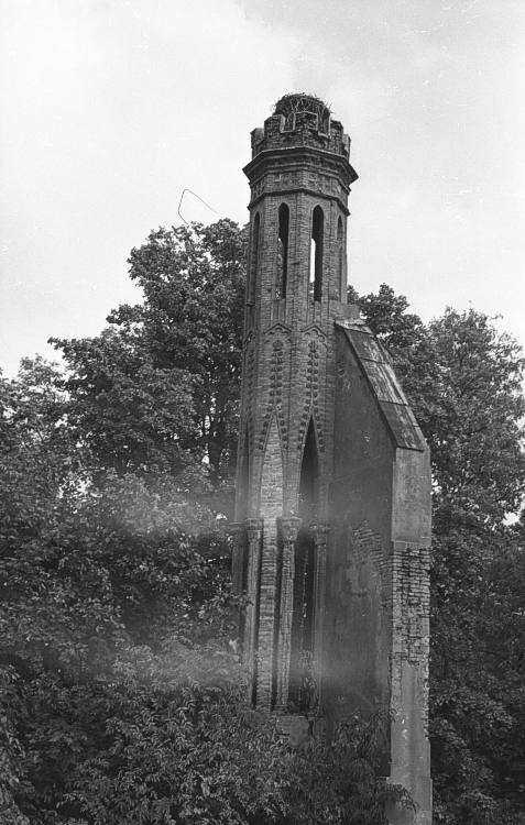 Ruiny paacu Paca 1950 r.
